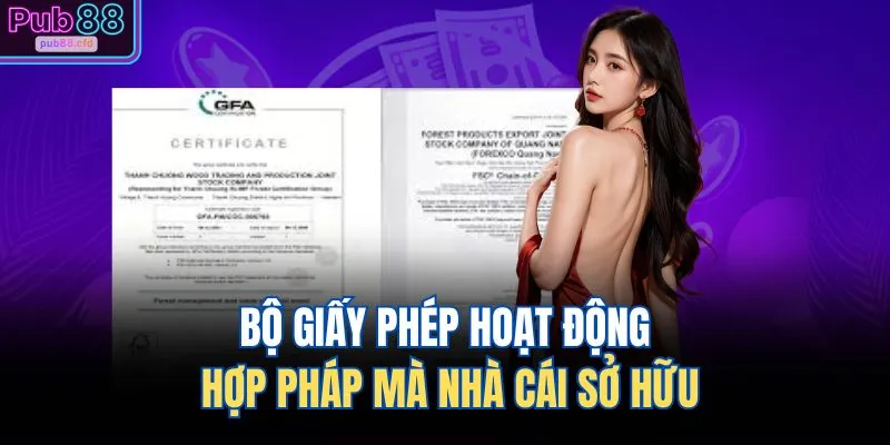 Bộ giấy phép hoạt động hợp pháp mà nhà cái sở hữu